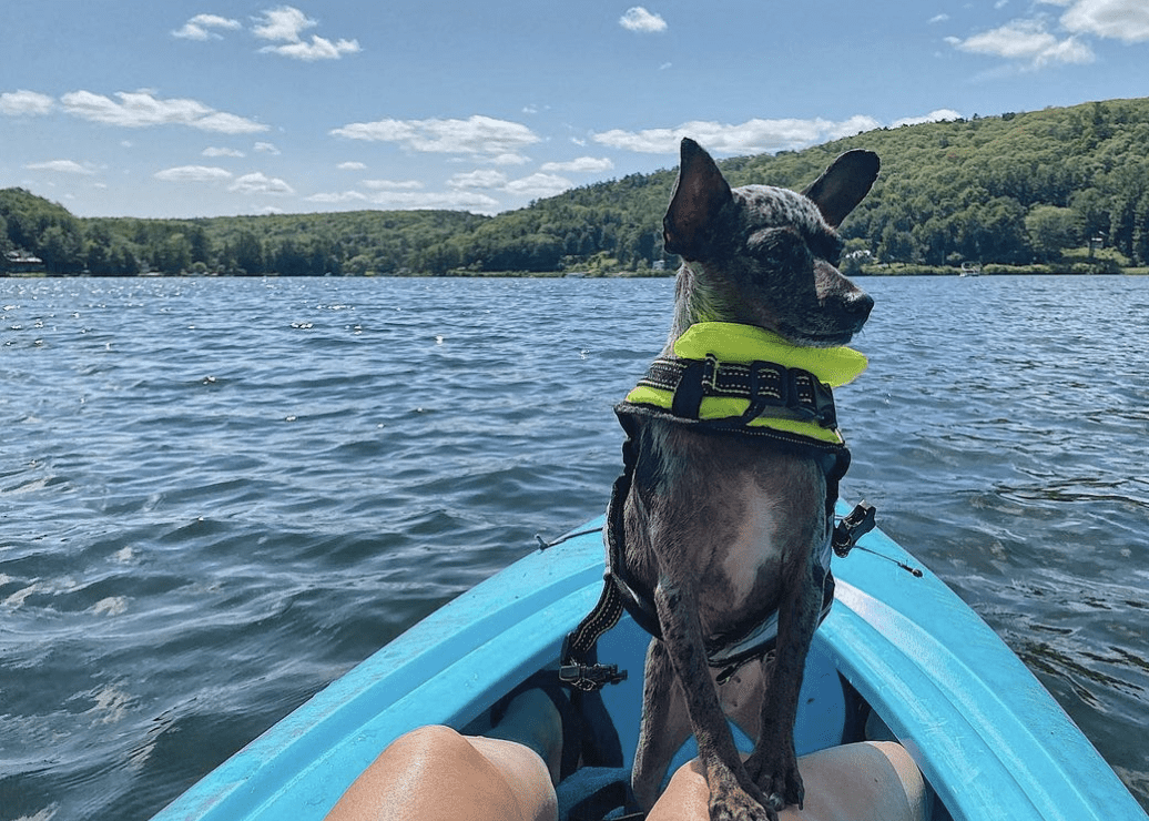 Where To Launch Kayaks In Columbia County